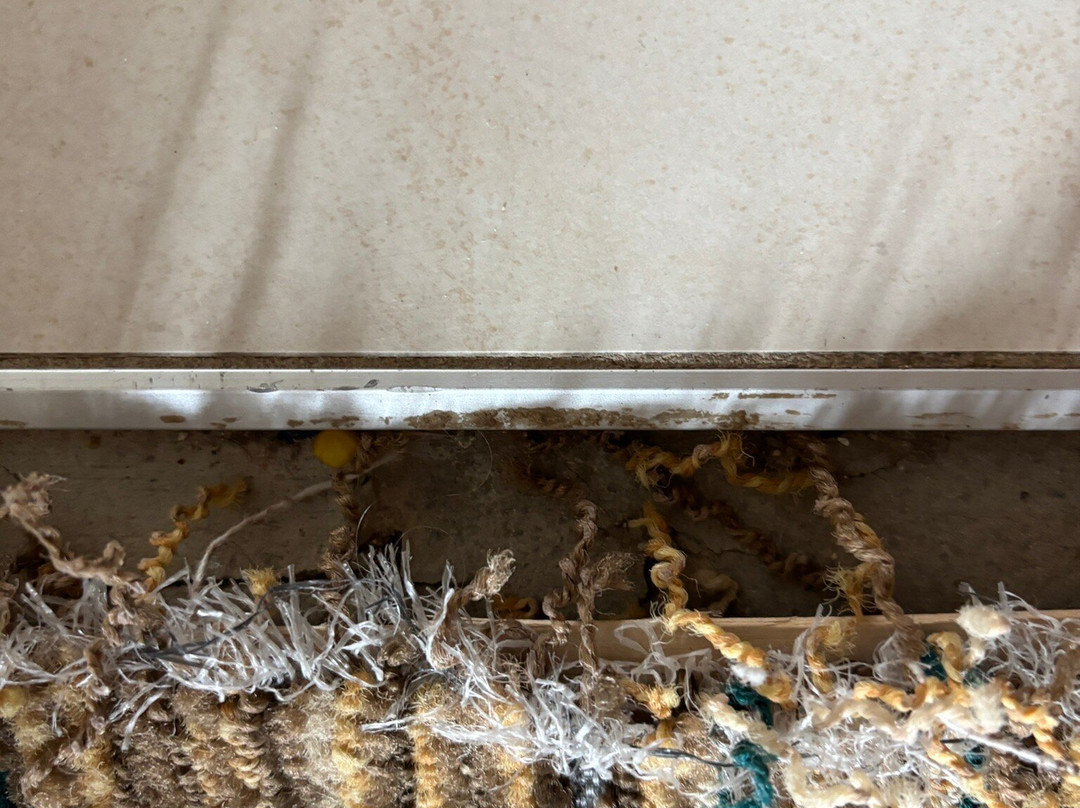 MainStay Suites Appleton Airport - Fox River Mall Area主图