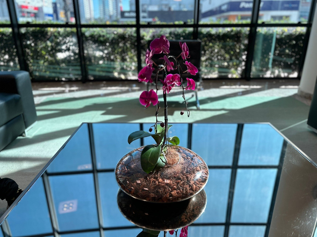 Firenze Business Hotel主图