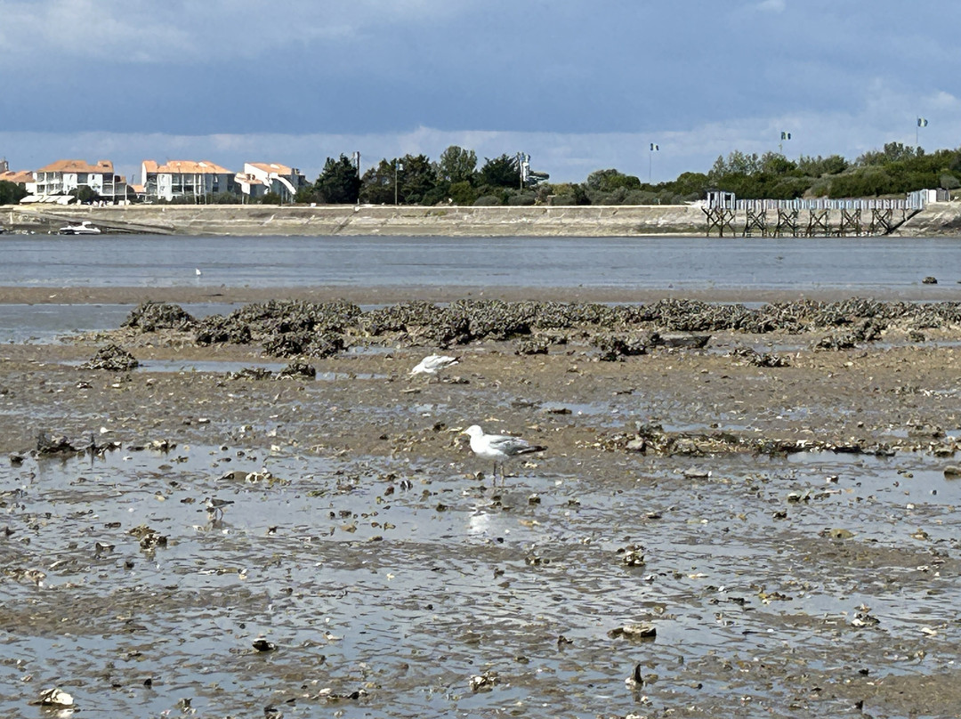 Plage de Châtelaillon-Chatelaillon-Plage必去景点