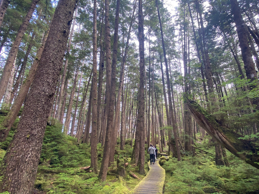 Gwaii Haanas National Park-Daajing Giids必去景点