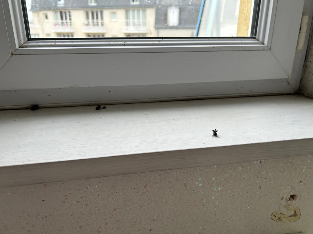 Les Residences d'Armor - Village Vacances Ternélia