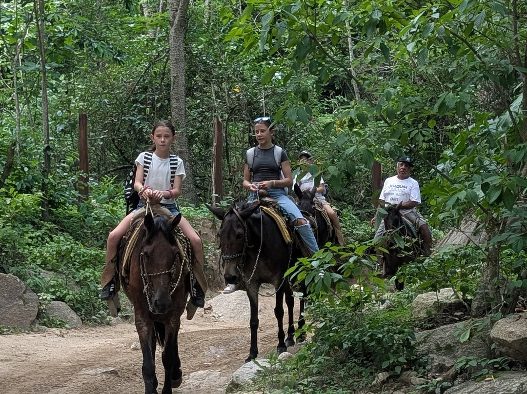 Puerto Vallarta Activities by My Deztination-瓦拉塔港必去景点