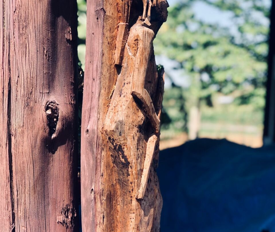 Saadani Pangani Camps And Tours-Pangani必去景点