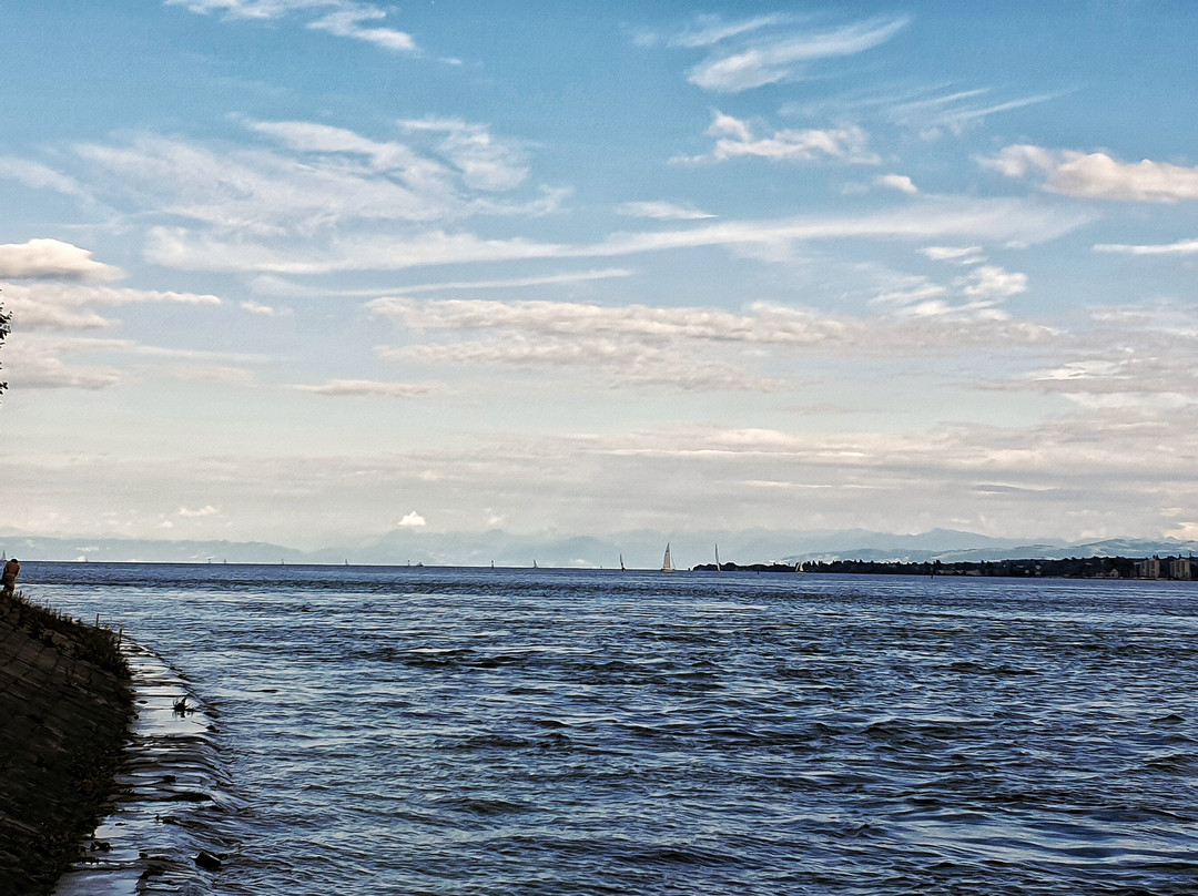 Appartement Hotel Seerose