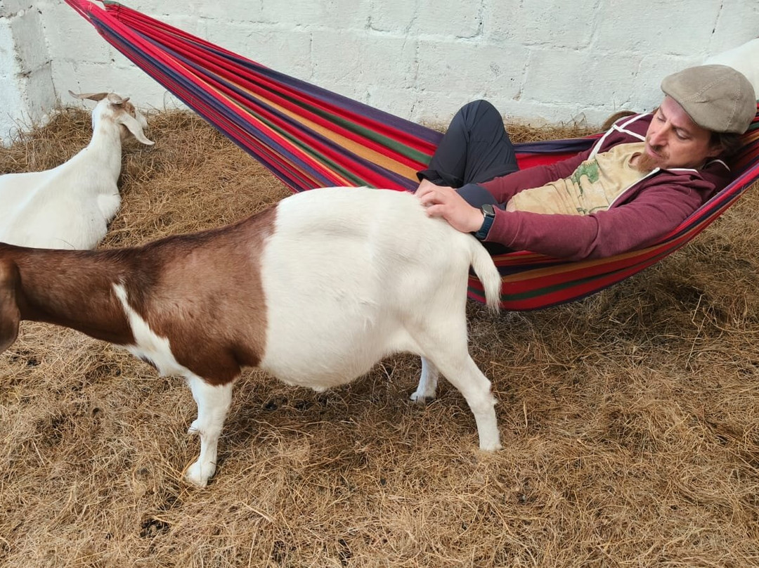 Cronkshaw Fold Farm-Rossendale必去景点