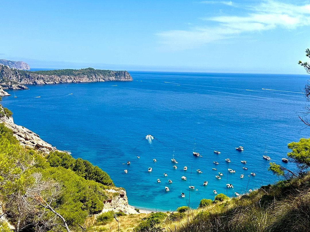 Platja Des Coll Baix-阿库迪亚必去景点