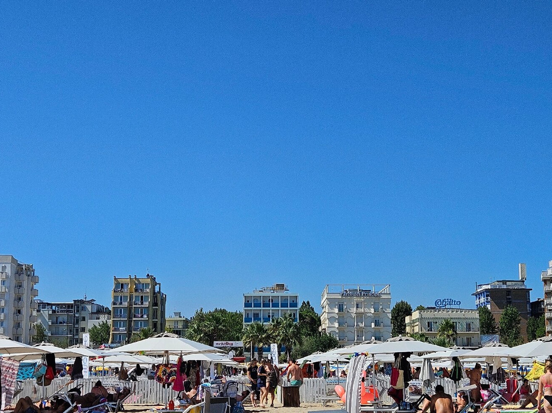 Rimini Dog No Problem - Bagno 81-里米尼必去景点