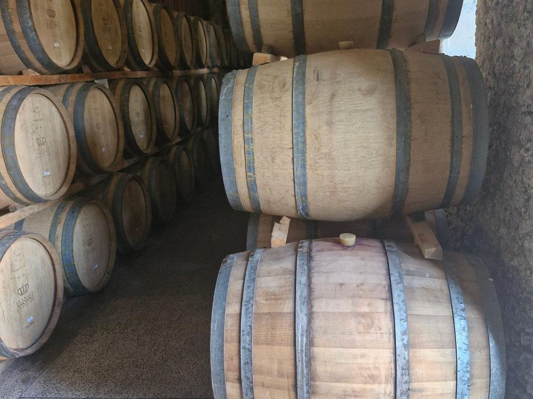 Asconi Winery-Puhoi必去景点