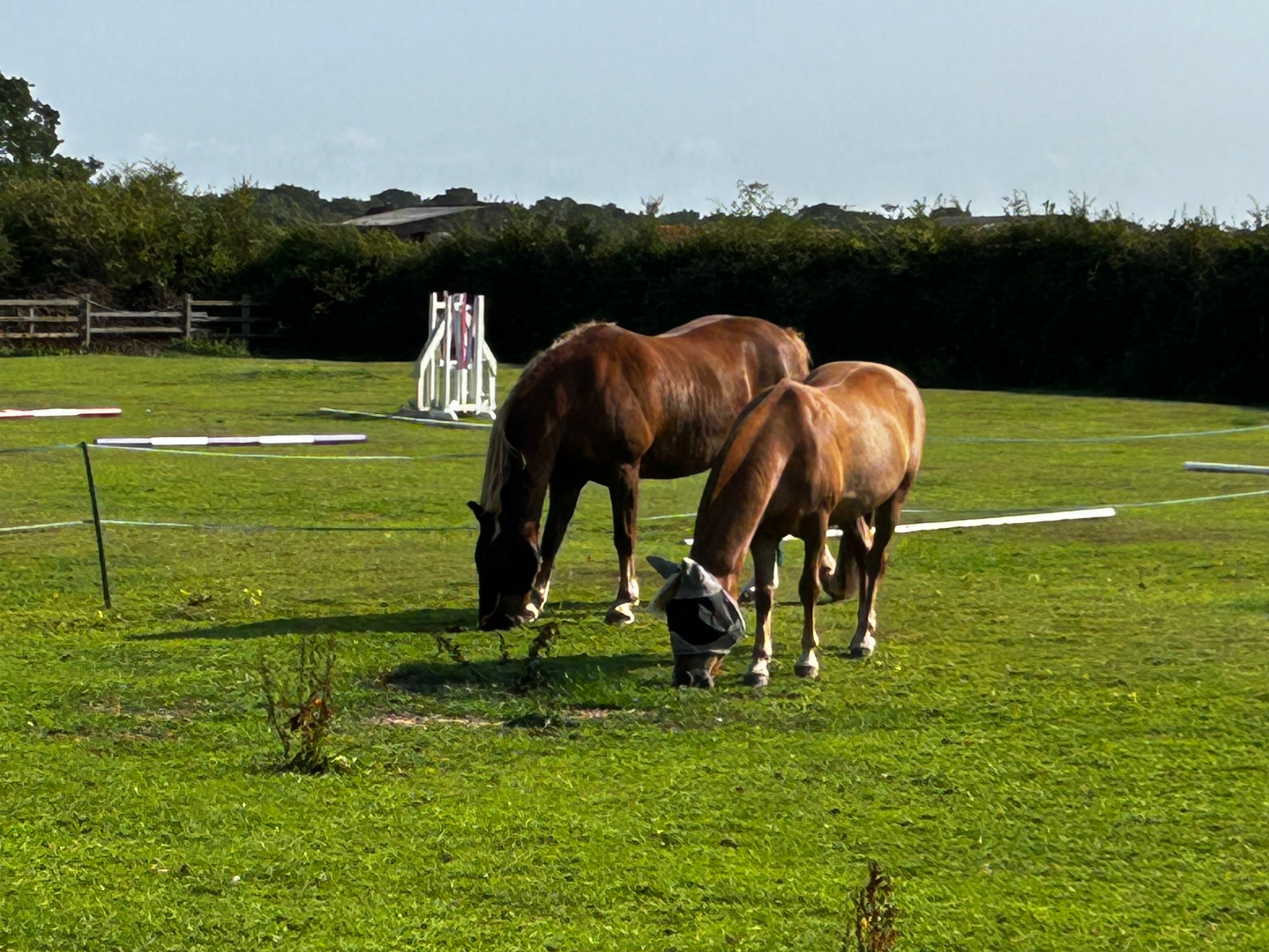 Redhouse Farm Bed & Breakfast-酒店景观