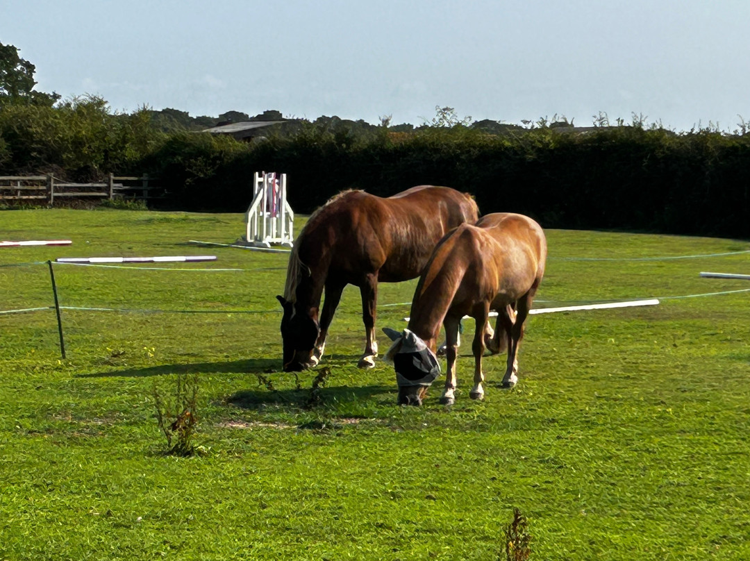 Redhouse Farm Bed & Breakfast主图