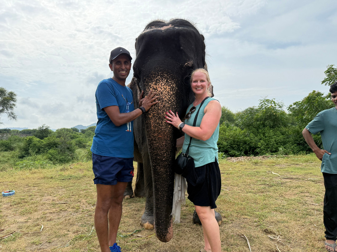 Elefanjoy Elephant Sanctuary-斋蒲尔必去景点