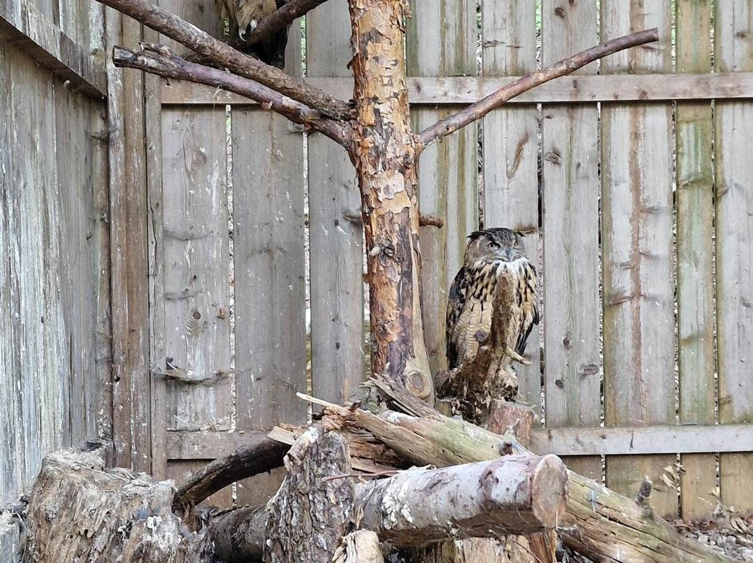 BELPARK- Parco Faunistico di Spormaggiore-Spormaggiore必去景点