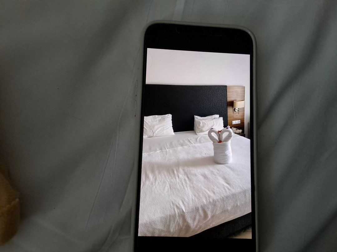 棕榈翼库萨达斯海滩度假及Spa酒店主图