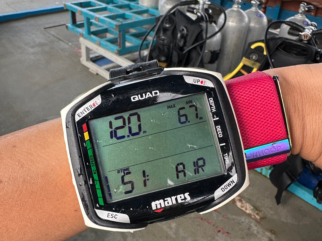 Euro-Divers LUX South Ari Atoll-南阿里环礁必去景点