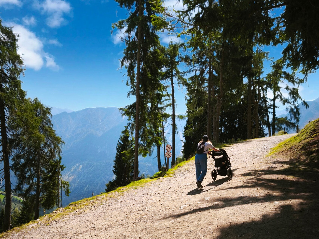 Wildpark Assling-Oberassling必去景点