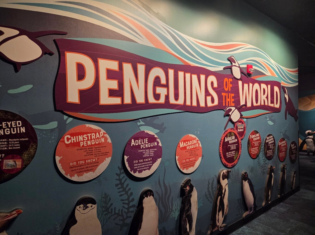 里普利水族管-美特尔海滩必去景点