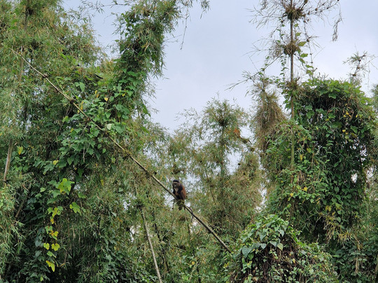 ACEYourTrip-吉佳利必去景点