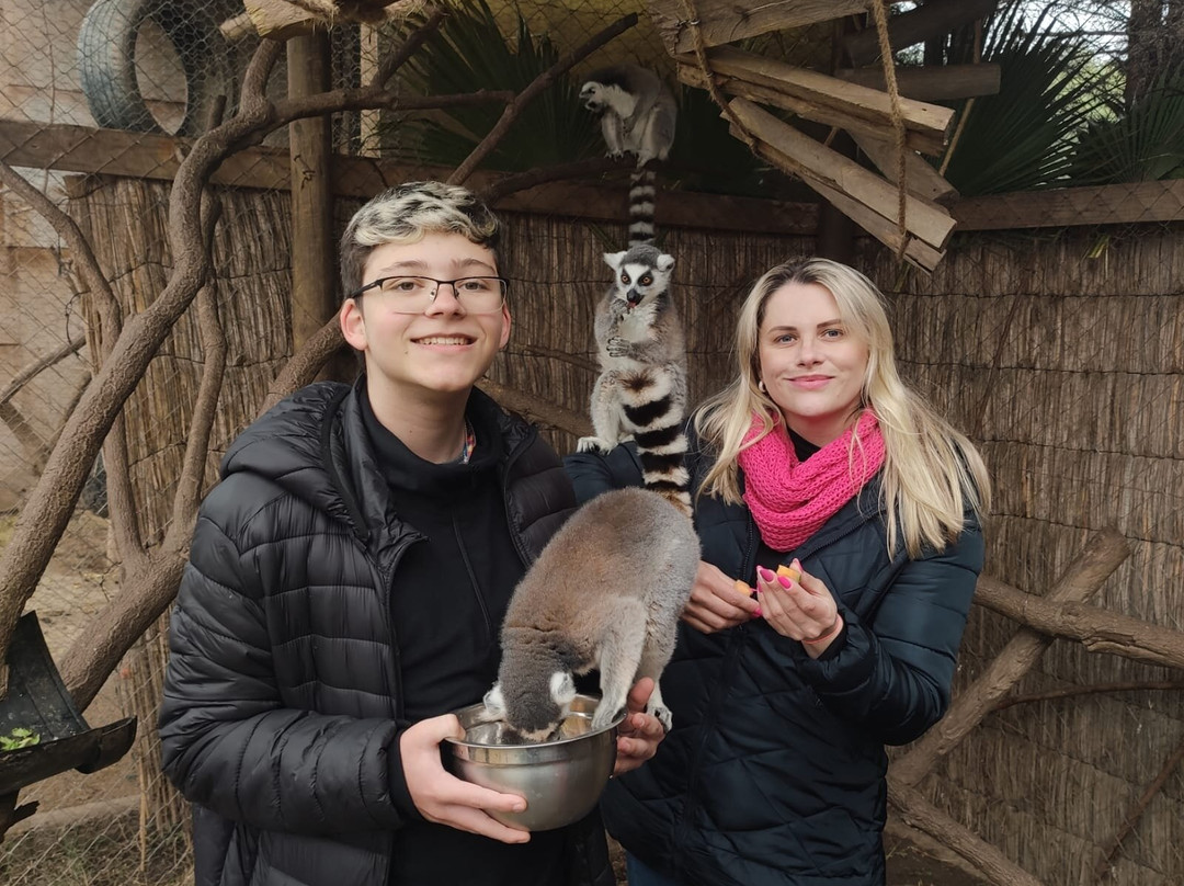 Huellitas por un sueño