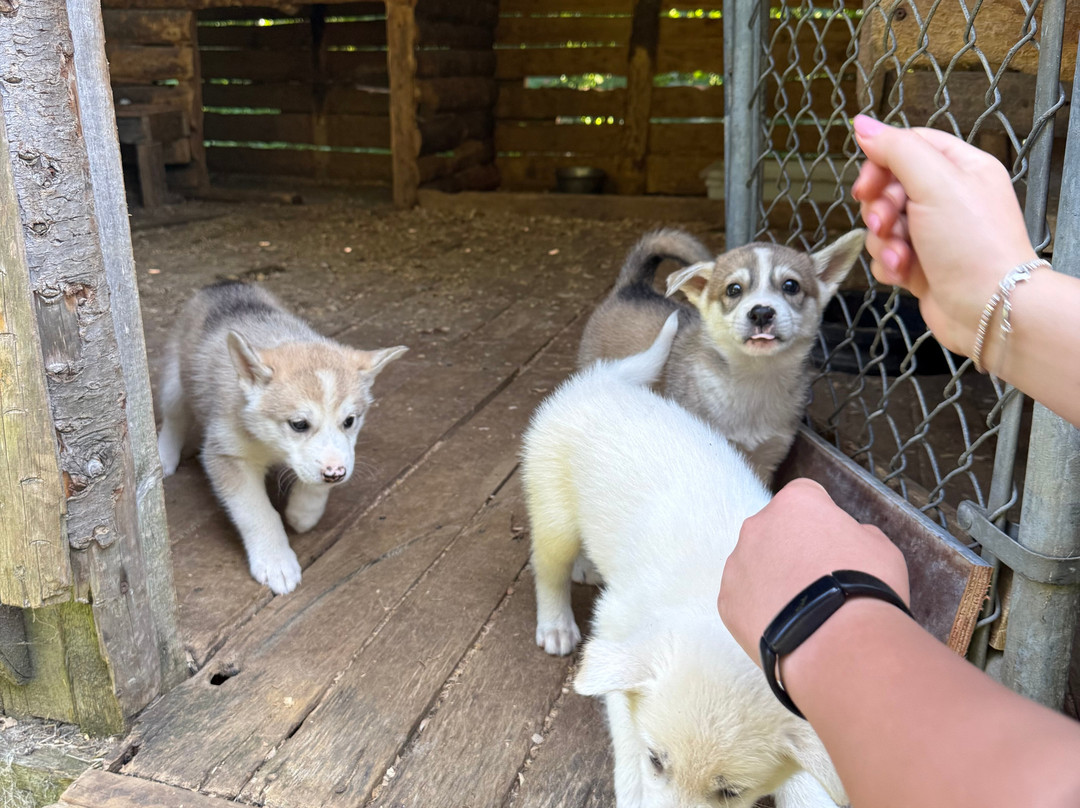 Aventures Nord-Bec-Stoneham-et-Tewkesbury必去景点