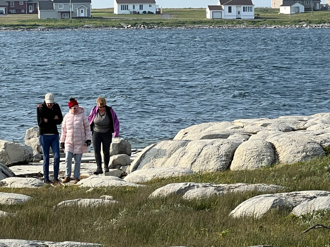 Thrombolites Walking Trail-Flower's Cove必去景点