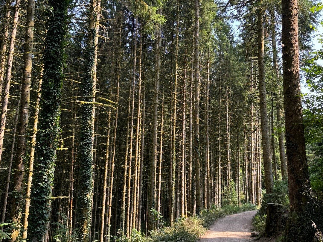 Grande Cascade de Tendon-Tendon必去景点