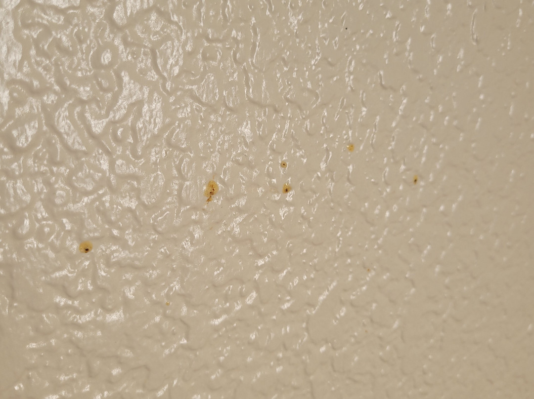 Hotel Evenia Coray主图