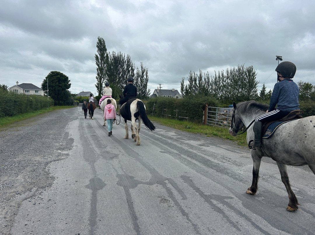 Claremorris Saddlery & Equestrian Centre-Claremorris必去景点