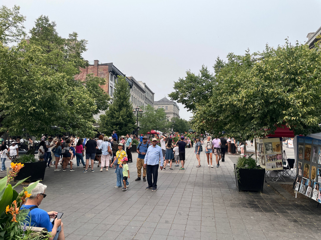 Place Jacques-Cartier-蒙特利尔必去景点
