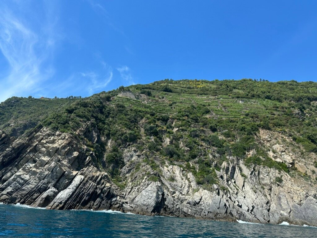 Nicola Scovenna - Tuscan Experiences-里窝那必去景点