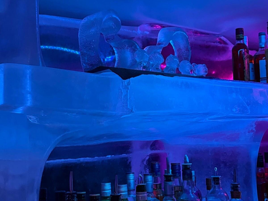 Magic Ice Bar Bergen-卑尔根必去景点
