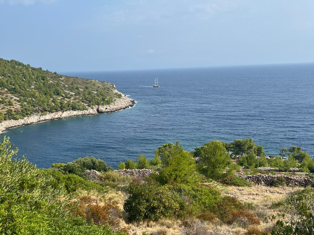 Dubovica Beach-Zarace必去景点