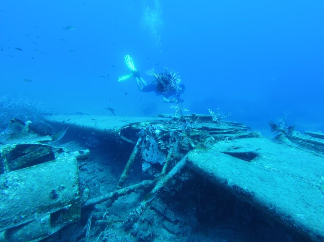 Coral Diving Crete-Anissaras必去景点
