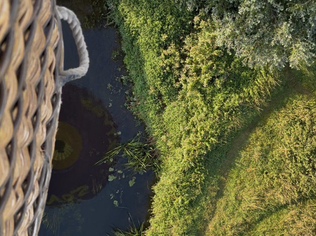 Kent Ballooning-阿什福德必去景点