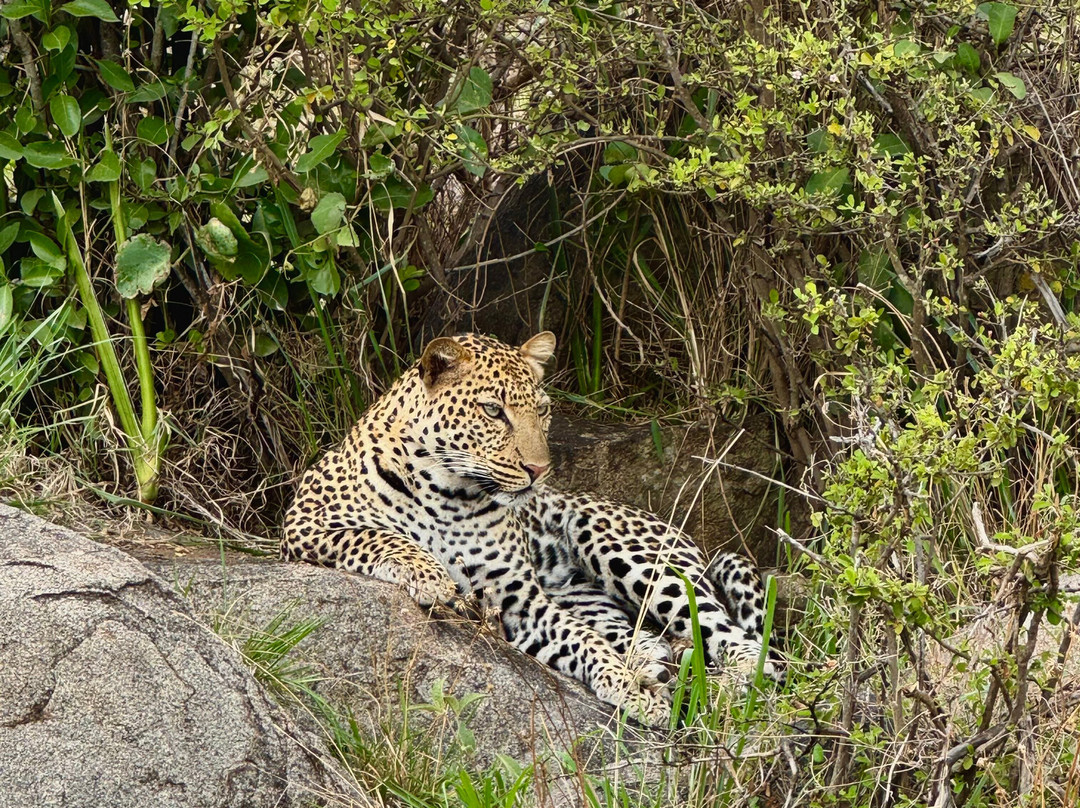 Trip Quest Safaris-阿鲁沙必去景点