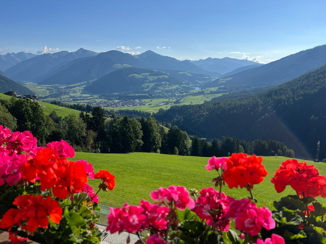 Das Bärenhotel主图