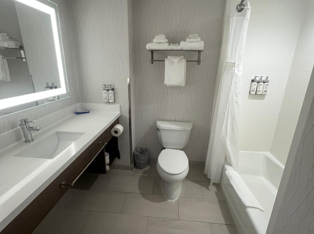 阿塔斯卡戴罗智选假日套房酒店主图