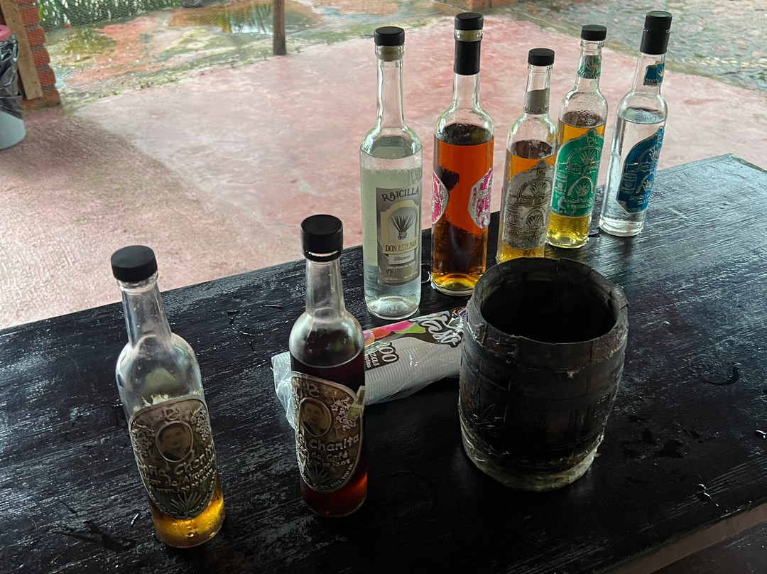 Summer's Ranch-瓦拉塔港必去景点