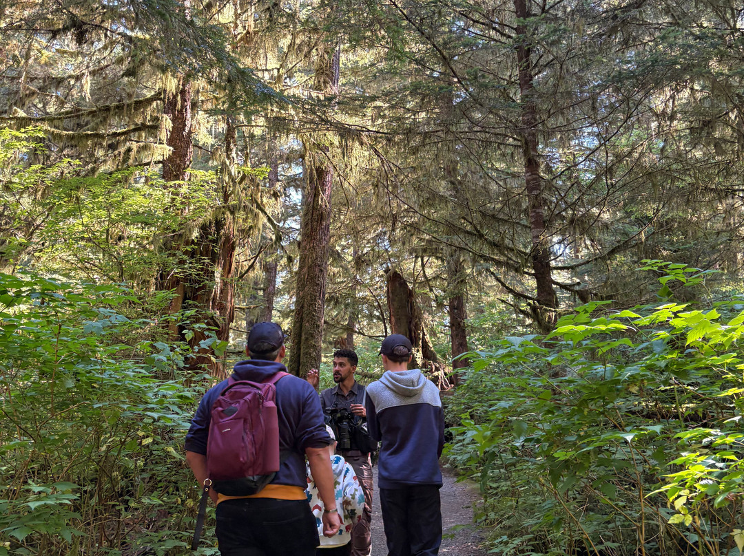 Alaska Rainforest Sanctuary-凯奇坎必去景点