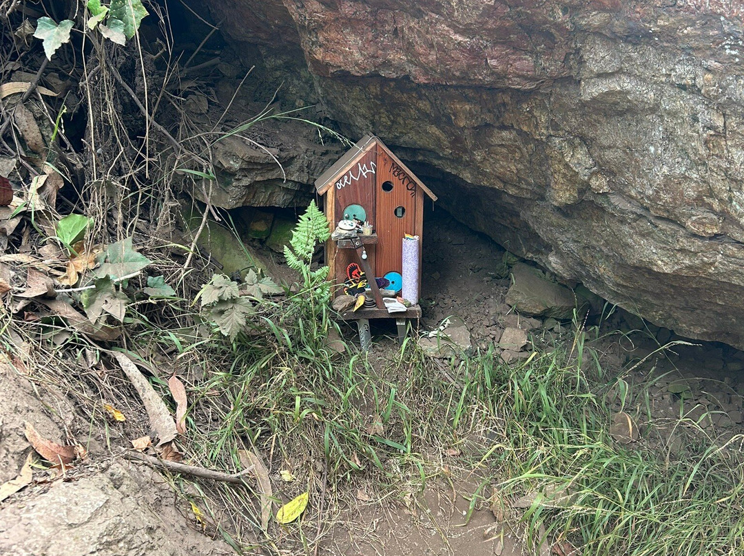 Mount Sutro Forest-旧金山必去景点