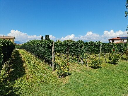 Cascina Maddalena-锡尔苗内必去景点