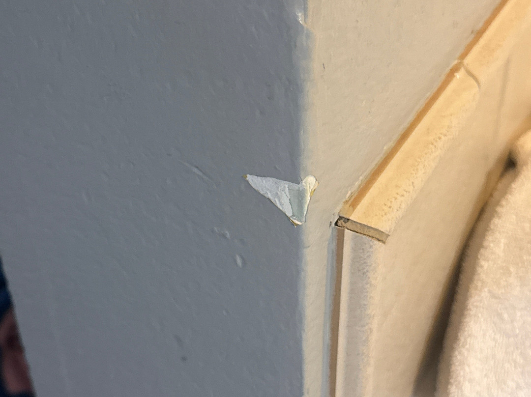 AmericInn by Wyndham Shakopee Near Canterbury Park主图