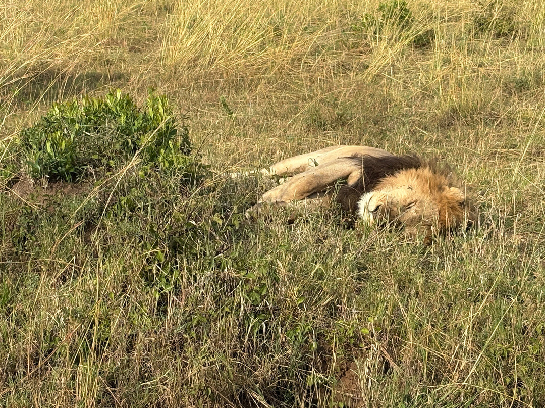 Safari Monks-Bandhavgarh National Park必去景点