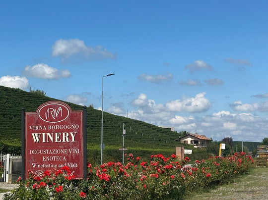 Open Piedmont Tours - Food | Fun | Wine Tours-巴尔巴雷斯科必去景点