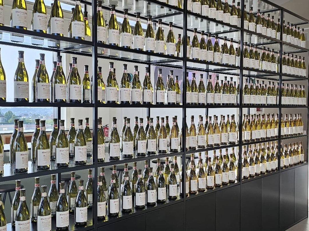 Bodegas Martin Codax-Cambados必去景点