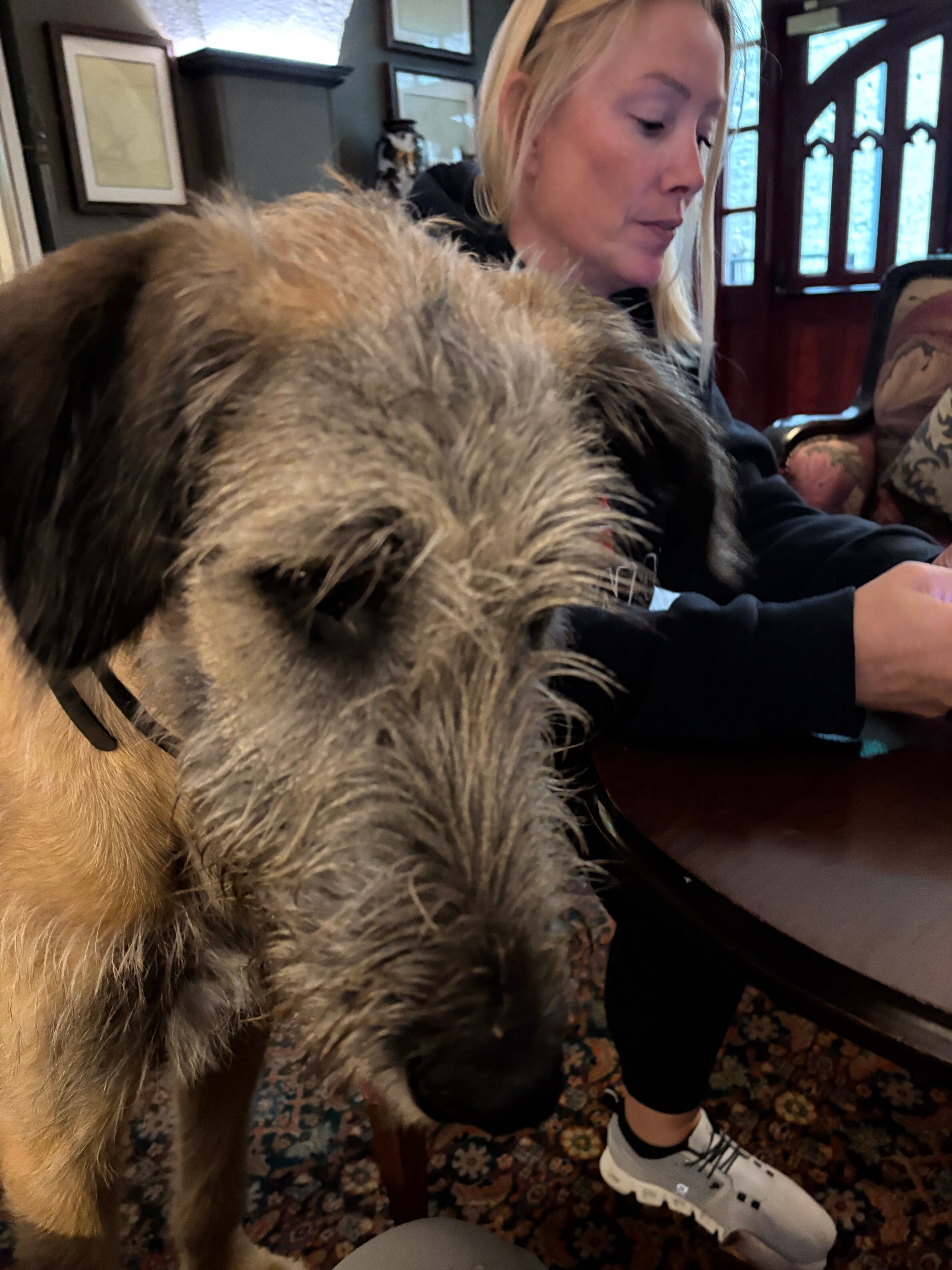 Markree Castle-浴室