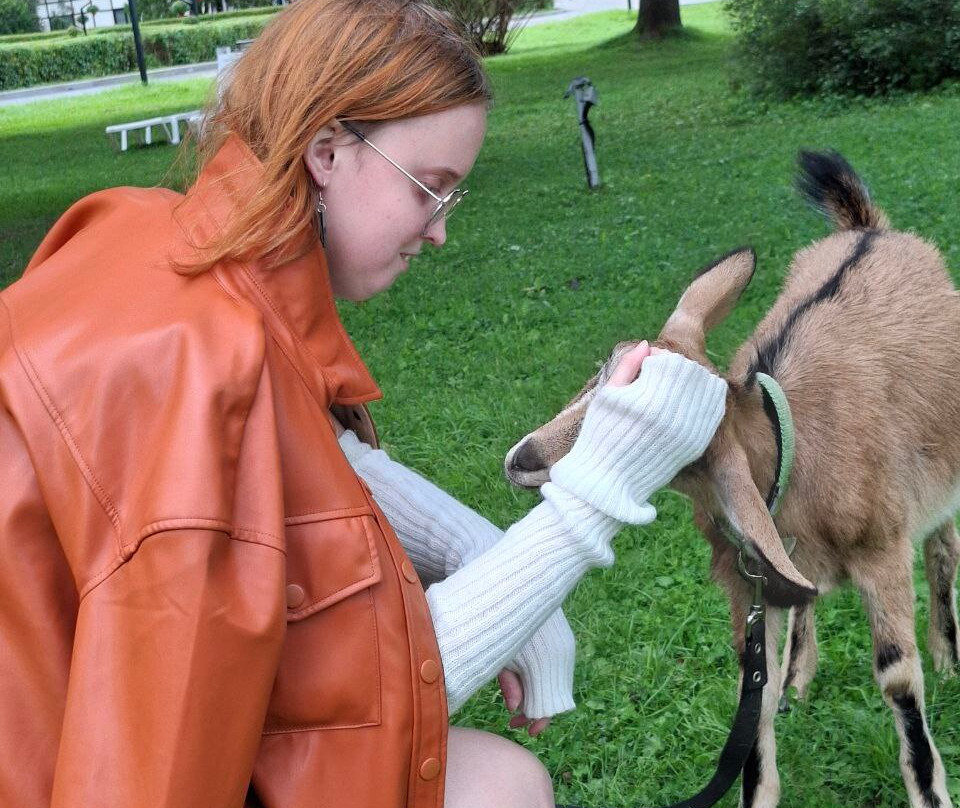 Lesnoy Park Otel主图