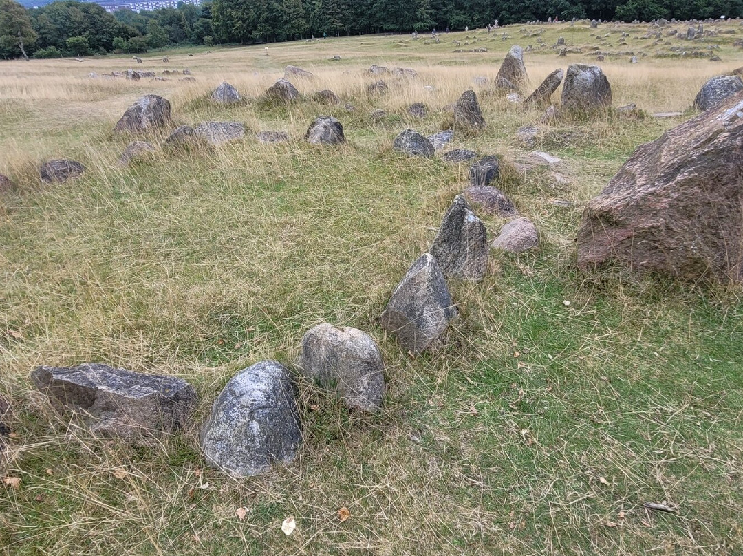 Vikingemuseet Lindholm Høje-Noerresundby必去景点