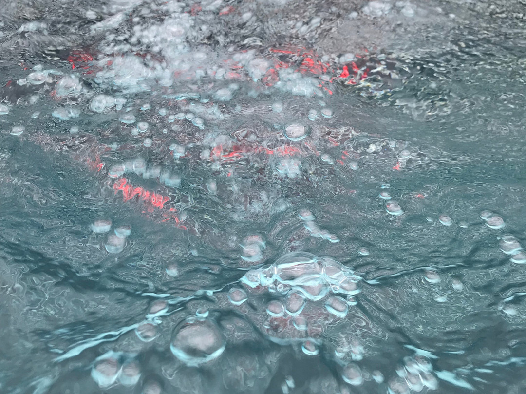 Hotel Mein Almhof主图