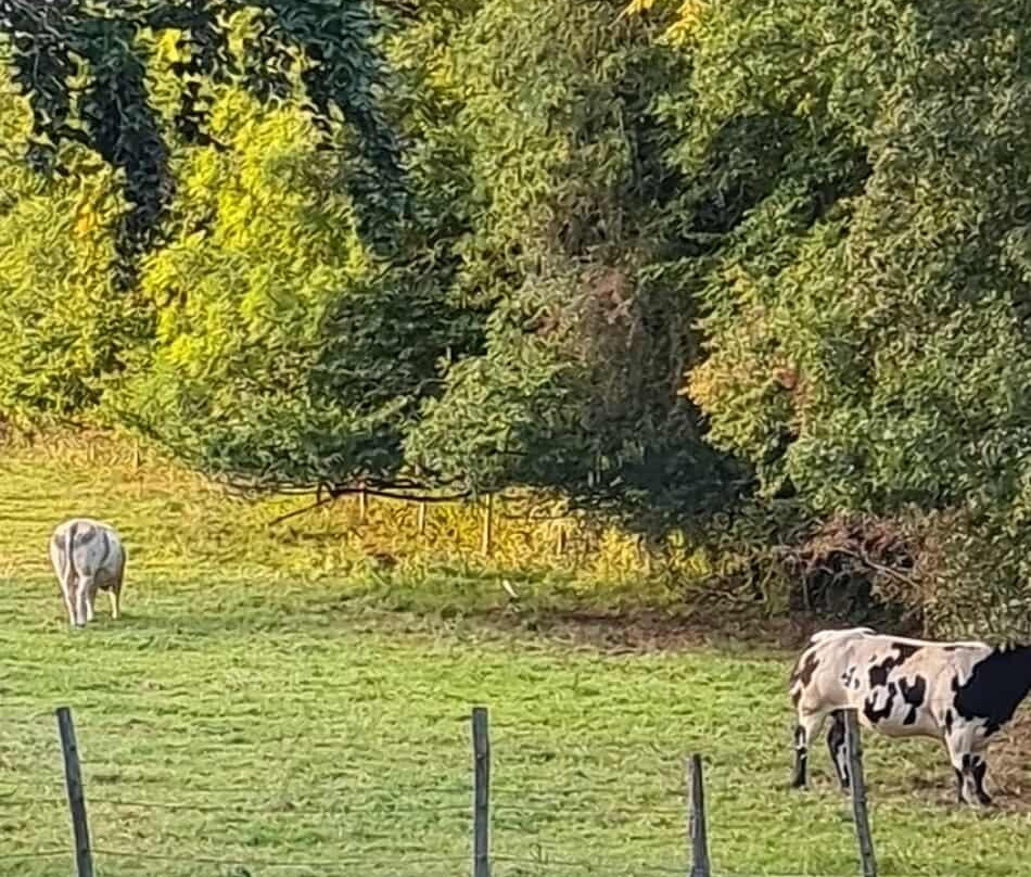 La Cremaillere主图