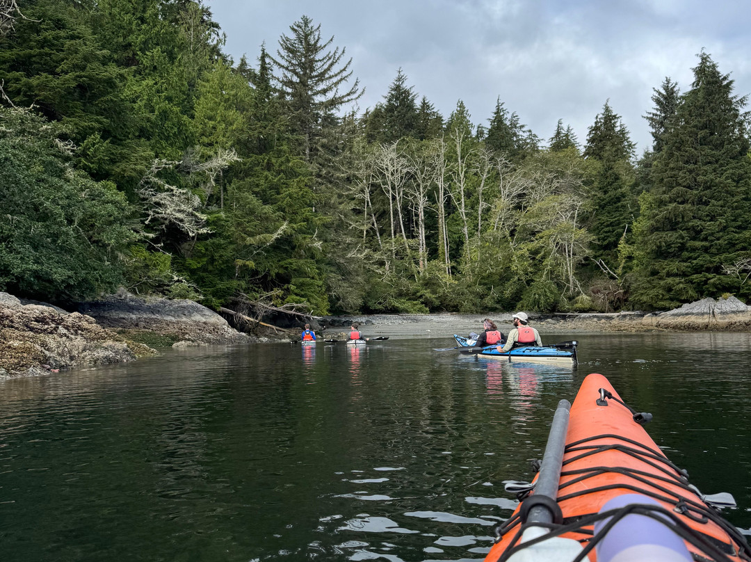 Tofino Sea Kayaking Day Tours-托菲诺必去景点